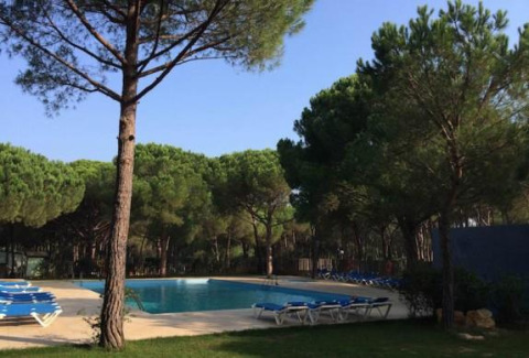 Billede af swimmingpool omgivet af fyrretræer og liggestole i Wecamp L'Escala Punta Mila i Catalonien.