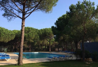 Billede af swimmingpool omgivet af fyrretræer og liggestole i Wecamp L'Escala Punta Mila i Catalonien.