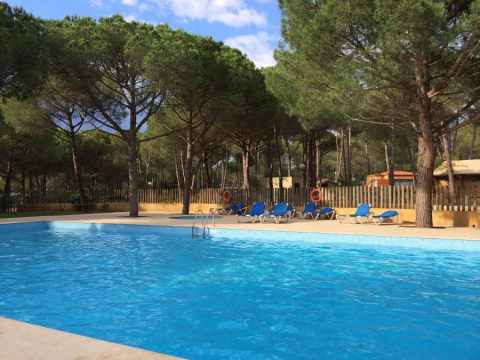 Outdoor swimming pool at Wecamp L'Escala Punta Mila, surrounded by pine trees and loungers in Catalonia, Spain.