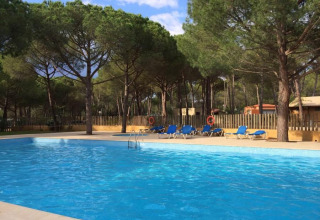 Udendørs swimmingpool ved Wecamp L'Escala Punta Mila, omgivet af fyrretræer og solsenge i Catalonien, Spanien.