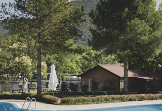 Swimming pool with sun loungers, pine trees, and mountain views at Wecamp Pirineos holiday park in Aragón, Spain.