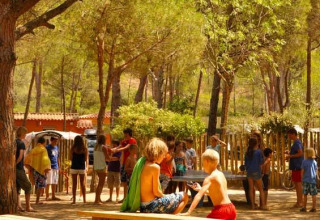 Børn leger og sidder ved træborde i en skyggefuld skov på ferieparken Wecamp L'Escala Punta Mila i Catalonien.