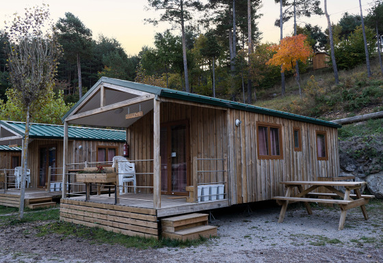 Houten chalets met veranda en picknicktafel bij Mobile Home Basic Family+ Panoramic, omgeven door natuur.