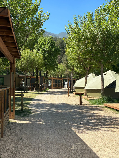Pad tussen safaritenten en houten hutten bij Bell Tent op Wecamp Pedraforca, Spanje, omgeven door bomen.