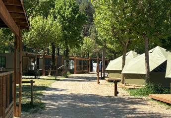 Sendero entre tiendas safari y cabañas en Bell Tent de Wecamp Pedraforca, España, rodeado de árboles verdes.