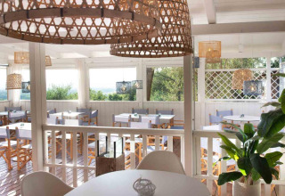 Espace de restauration lumineux avec mobilier en bois et plantes au Vallicella Glamping Resort, Toscane.