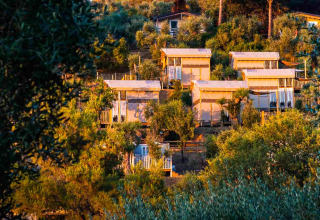 Tentes de luxe au Vallicella Glamping Resort en Toscane, entourées d’arbres sous la lumière du soir.