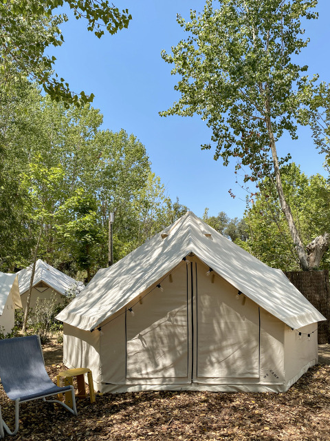 Safari-Zelt Bell Tent auf einem bewaldeten Campingplatz mit blauem Himmel und grünen Bäumen ringsum.
