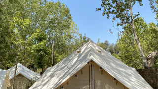 Safari-Zelt Bell Tent auf einem bewaldeten Campingplatz mit blauem Himmel und grünen Bäumen ringsum.