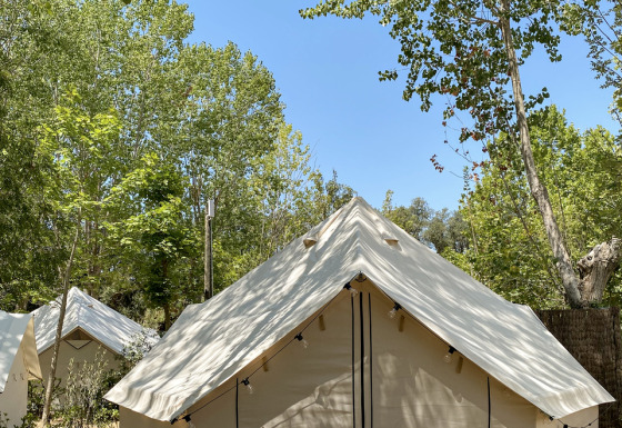 Safari-Zelt Bell Tent auf einem bewaldeten Campingplatz mit blauem Himmel und grünen Bäumen ringsum.