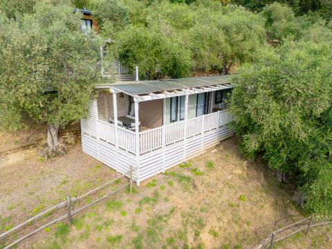 Vue extérieure du lodge Cottage Next XL superior entouré d’arbres, avec une grande véranda couverte.