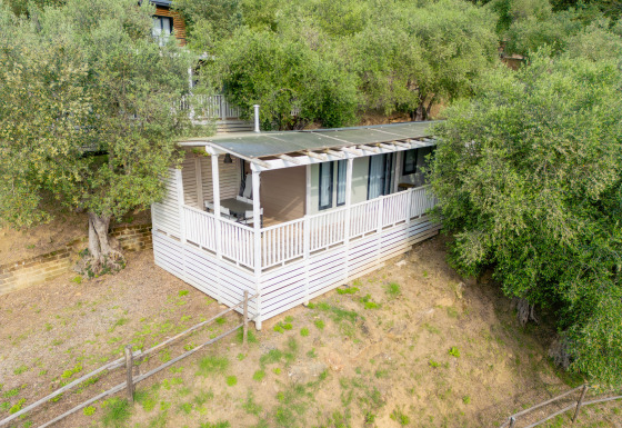 Vue extérieure du lodge Cottage Next XL superior entouré d’arbres, avec une grande véranda couverte.