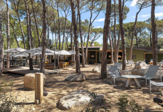 Buitenlounge bij een safaritentcamping met tafels, stoelen, parasols en hoge dennenbomen rondom.