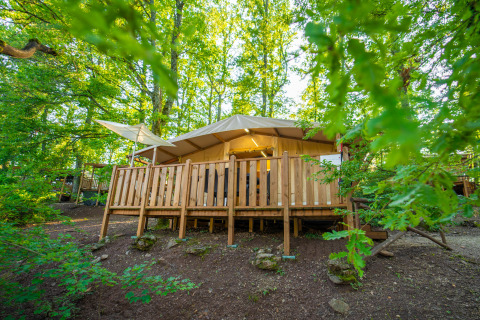 Safari Lodge Tent Deluxe im Wald, mit Holzterrasse, umgeben von grünen, sonnigen Bäumen.