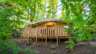 Safari Lodge Tent Deluxe nella foresta, con terrazza di legno, circondata da alberi verdi e luce solare.