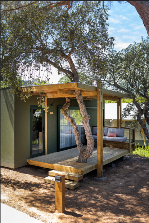 Beeld van Mobile Home Family lodge, houten terras met boom die door het dak van de veranda groeit.