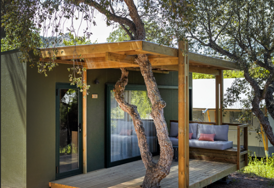 Foto en Mobile Home Family lodge con una terraza de madera y un árbol que atraviesa el techo del porche.