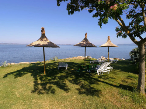 Thatched sun umbrellas and loungers on grassy shore at Trasimeno Glamping Resort, Umbria, Italy.