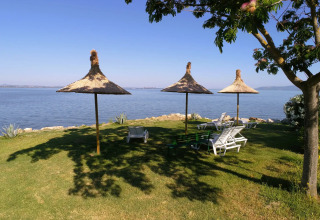 Ombrelloni di paglia e lettini sulla riva erbosa al Trasimeno Glamping Resort, Umbria, Italia.