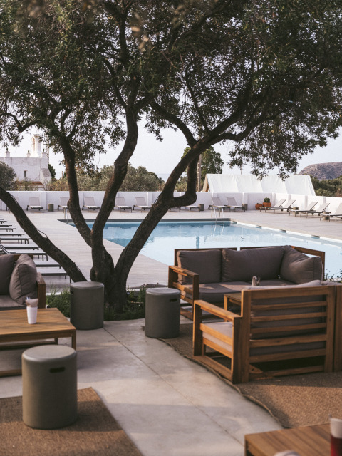 Area lounge all’aperto sotto un albero vicino alla piscina al Wecamp Cadaqués, villaggio in Catalogna, Spagna.