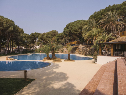Piscina al aire libre en Wecamp Cala Montgó, parque vacacional de Cataluña, España, rodeada de palmeras y pinos.