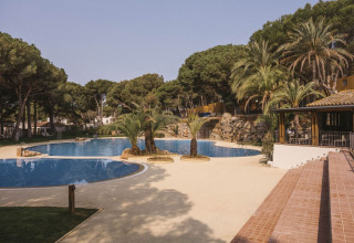 Udendørs swimmingpool ved Wecamp Cala Montgó feriested i Catalonien, Spanien, omgivet af palmer og fyrretræer.