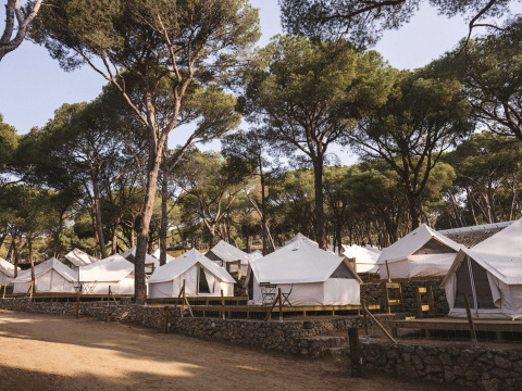 Glamping tents set among pine trees at Wecamp Cala Montgó holiday park in Catalonia, Spain, under blue sky.