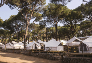 Glampingtelte i en fyrreskov ved Wecamp Cala Montgó feriepark, Catalonien, Spanien, under klare himmel.