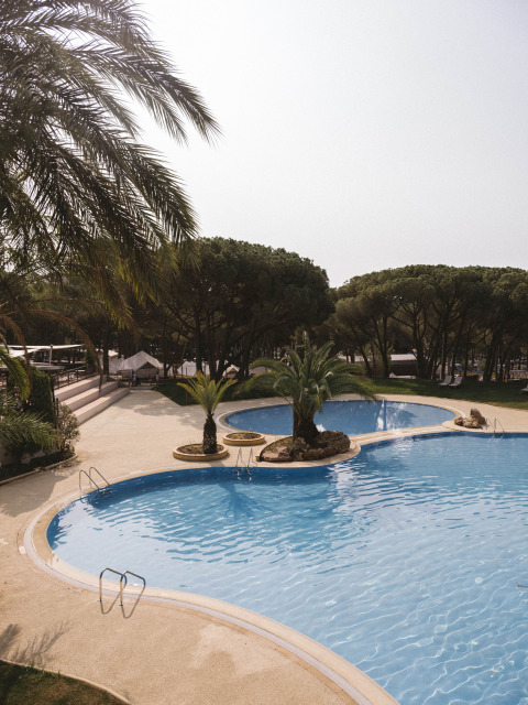 Udendørs swimmingpool med palmer på Wecamp Cala Montgó feriestedet i Catalonien, Spanien.