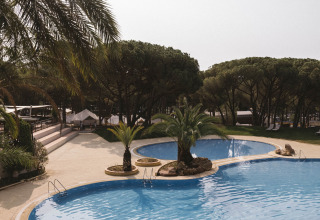 Piscina all'aperto con palme al villaggio turistico Wecamp Cala Montgó in Catalogna, Spagna.