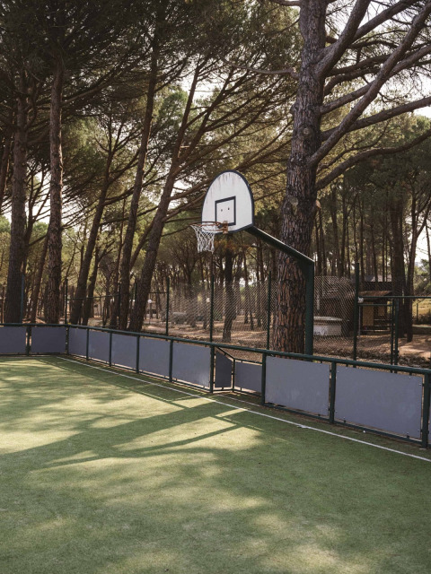 Buitenbasketbalring op een veld omgeven door dennenbomen bij Wecamp Cala Montgó, Catalonië, Spanje.