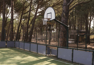 Buitenbasketbalring op een veld omgeven door dennenbomen bij Wecamp Cala Montgó, Catalonië, Spanje.