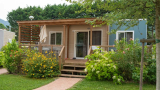 Vooraanzicht van Cottage Next XL Superior 6 pers. met veranda, omgeven door tuin en bloeiende struiken.