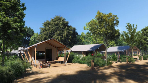 Tiendas safari en un campamento rodeadas de árboles, con personas descansando al aire libre.