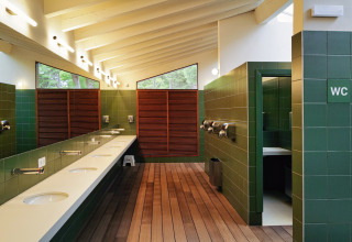 Bagno moderno da glamping con piastrelle verdi, pavimento in legno, lavabi multipli e luce naturale.