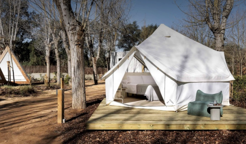 Luksuriøs Bell Tent safari-telt på træterrasse i en skov, indrettet med seng og udendørs siddeplads.