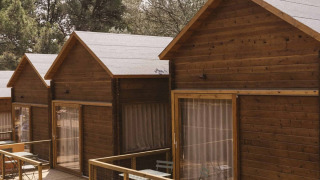 Bungalows de madera alineados con terraza privada y sillas al aire libre, rodeados de vegetación.