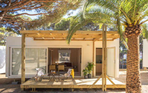 Tiny house moderne avec terrasse en bois, fauteuils d’extérieur et palmier, entourée de pins ensoleillés.