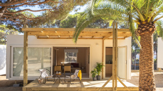 Modernes Tiny House mit Holzterrasse, Gartenmöbeln und Palmen in einer sonnigen Waldumgebung.