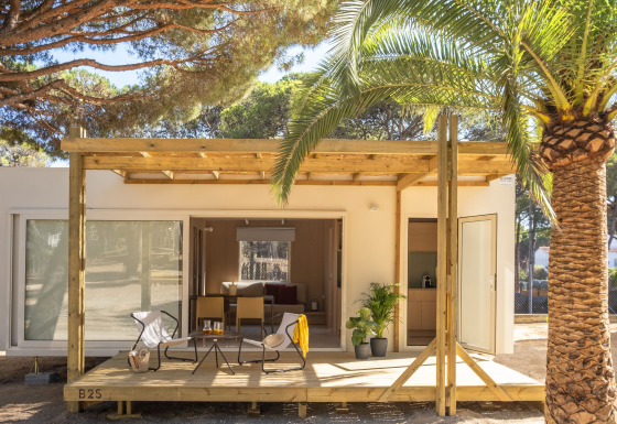 Tiny house met houten terras, zitstoelen, palmboom en omringd door zonovergoten dennenbomen.