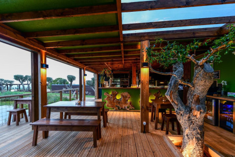 Terraza de madera en Wecamp Reserva Alecrim, Alentejo, Portugal, con mesas rústicas y árbol natural en el interior.