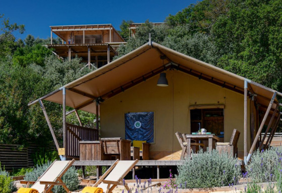 Tienda safari Lodge Family en Wecamp Reserva Alecrim, Portugal, rodeada de vegetación y terraza al aire libre.