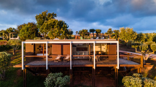 Bungalow Family en Wecamp Reserva Alecrim, Portugal, lodge moderno sobre pilotes y rodeado de árboles verdes.