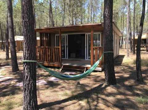 Bungalow Family Premium-lodge in een bos met houten terras en hangmat tussen twee bomen gespannen.