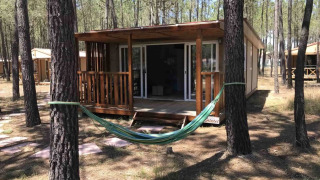 Bungalow Family Premium-lodge in een bos met houten terras en hangmat tussen twee bomen gespannen.