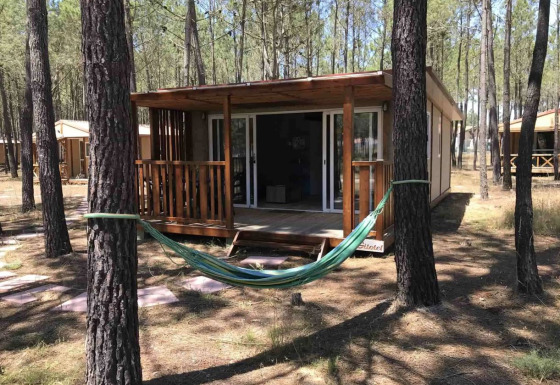 Bungalow Family Premium-lodge in een bos met houten terras en hangmat tussen twee bomen gespannen.