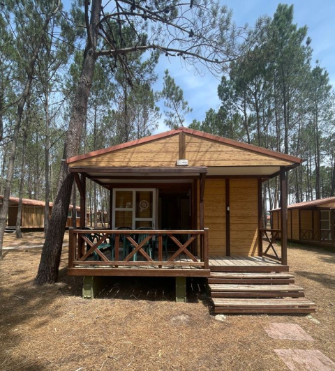 Bungalow Basic Family: houten huisje met veranda en groene stoelen tussen hoge dennenbomen.