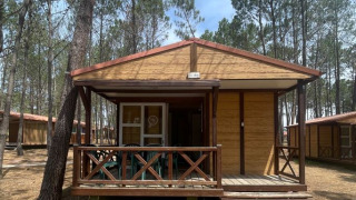 Bungalow Basic Family: houten huisje met veranda en groene stoelen tussen hoge dennenbomen.