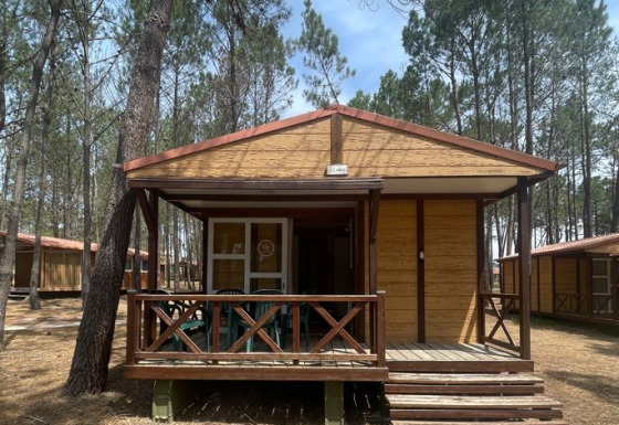 Bungalow Basic Family: houten huisje met veranda en groene stoelen tussen hoge dennenbomen.