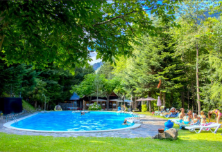 Outdoor swimming pool surrounded by lush trees and sun loungers at Bedura Park Campsite in Catalonia, Spain.